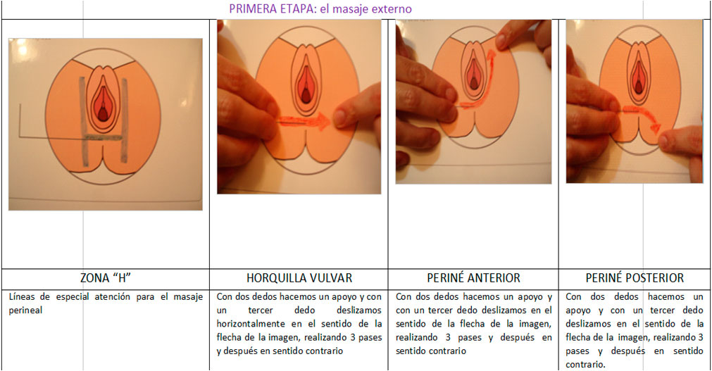 Conoce tu Suelo pélvico y cómo hacer masaje perineal ⋆ Marina Matrona